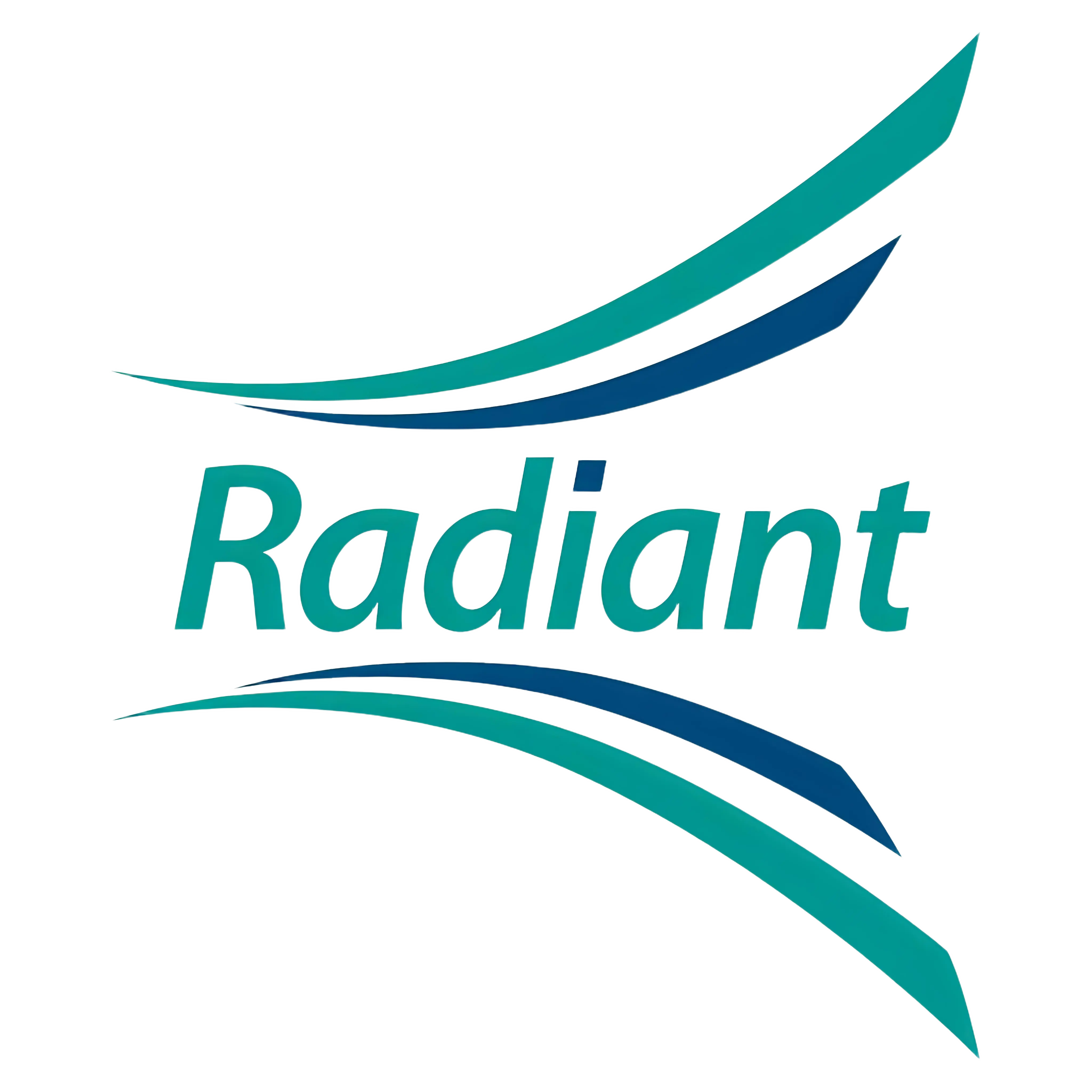 Radiant Mining team